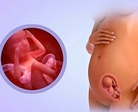 Колебание уровня глюкозы в крови при беременности Колебание уровня глюкозы в крови при беременности