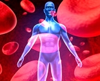 Уменьшение объёма циркулирующей крови: симптомы и лечение гиповолемии Уменьшение объёма циркулирующей крови: симптомы и лечение гиповолемии